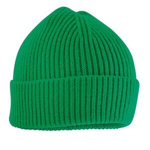 Beechfield Childrens/Kids Beanie / Kelly Green